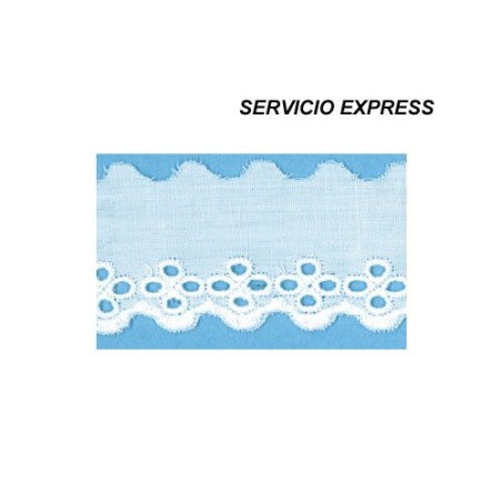 BORDADO 29021 (Metros)                            