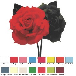 FLOR FLAMENCA 11...