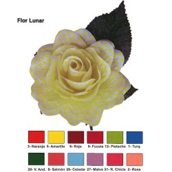 FLOR FLAMENCA 031...