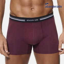 Bóxer Liso Abanderado...