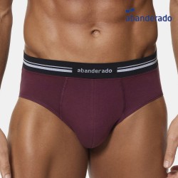 Calzoncillo Slip Abanderado...