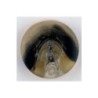 BOTON DILL 18 mm251368                            