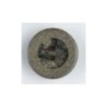 BOTON DILL 25 mm340516                            