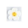 BOTON DILL 28 mm340552                            