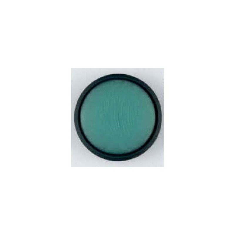BOTON DILL 20 mm310374                            