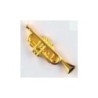 BOTON DILL 30 mm320100                            