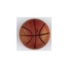 BOTON DILL 20 mm251502                            