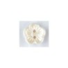 BOTON DILL 14 mm250114                            