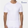 CAMISETA CRO.256                                  