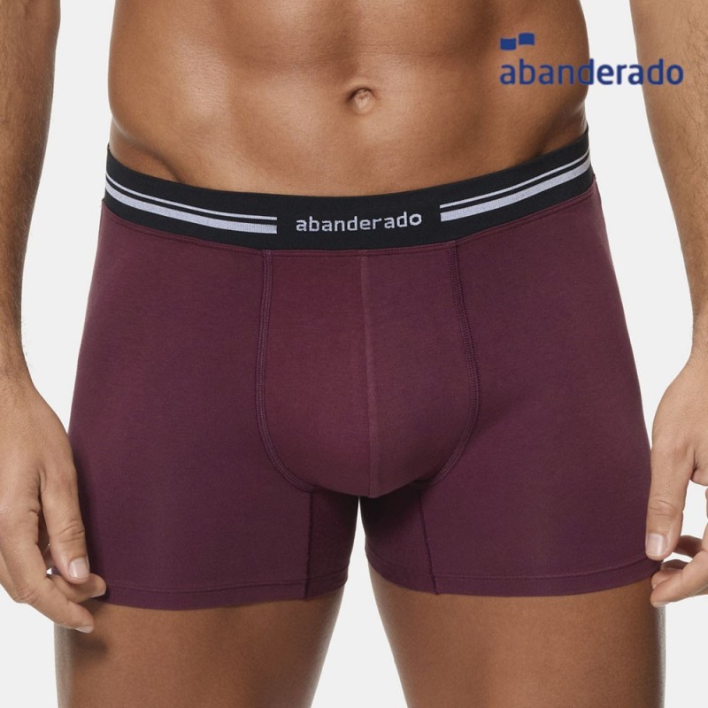 Comprar Boxer caballero abanderado | Envíos en 24h | Mercys           