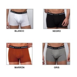 Comprar Boxer caballero abanderado | Envíos en 24h | Mercys           