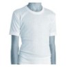 CAMISETA NIÑO 202                                 