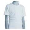 CAMISETA NIÑO 252                                 